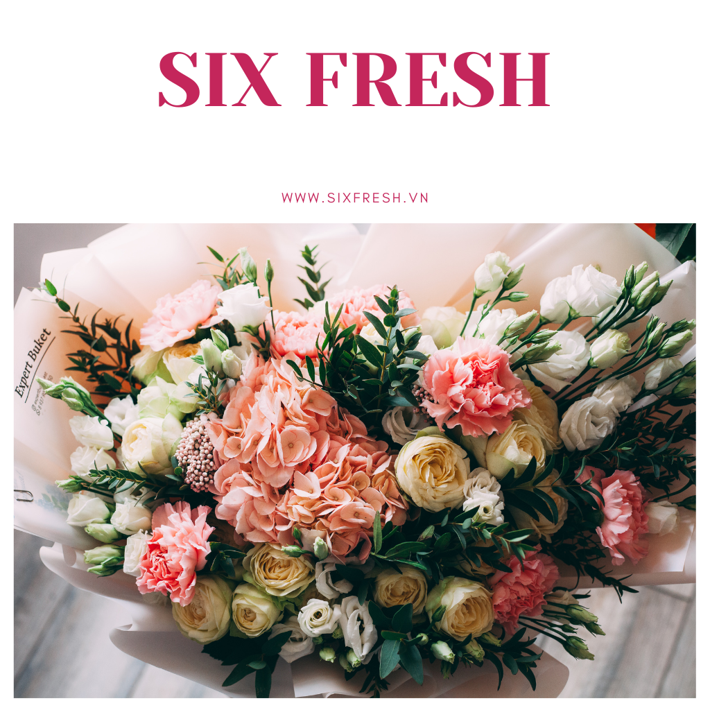 Six Fresh