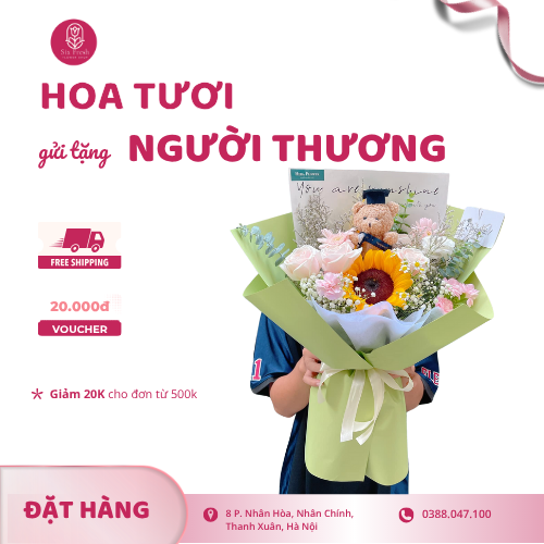 Bó 1 Bông Hướng Dương Mix Gấu