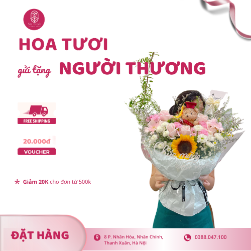 Bó Hoa Gấu Nhỏ Tốt Nghiệp Mix