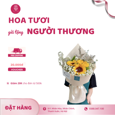 Bó Hoa 3 Bông Hướng Dương Tốt Nghiệp