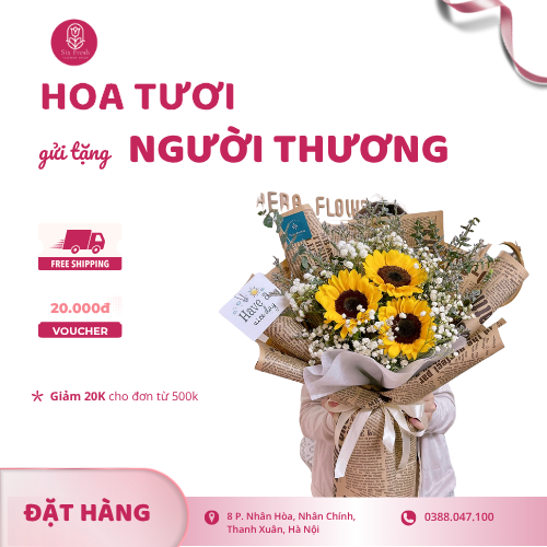 Bó Hoa 3 Bông Hướng Dương Tốt Nghiệp