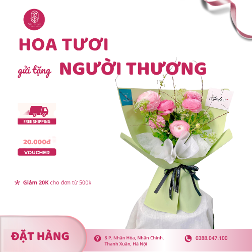 Bó Hoa Mao Lương Hồng
