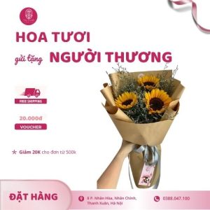 Hoa hướng dương