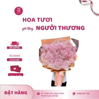 Bó Hoa Baby Hồng – Dịu Dàng và Nữ Tính