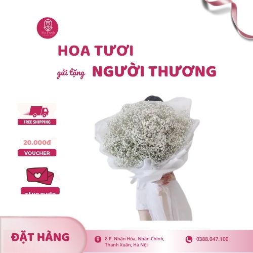 Hoa baby trắng