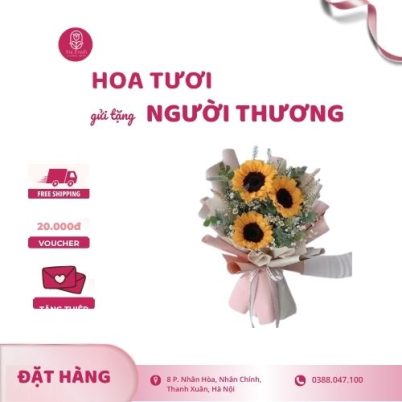Bó hoa hướng dương mix hoa baby trắng