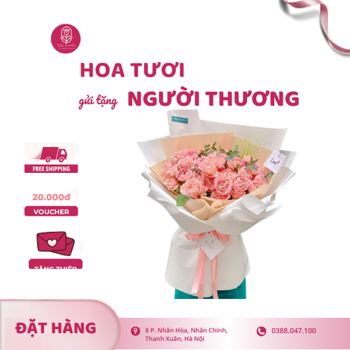 Hoa hồng kem tặng người thương