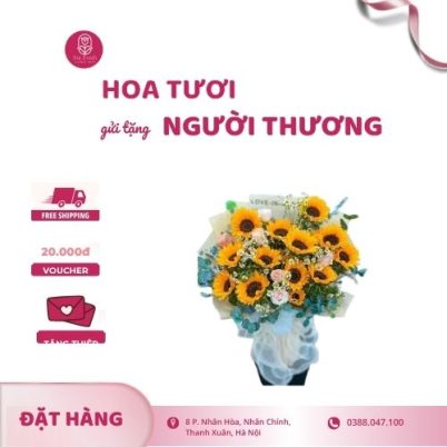 Bó hoa hướng dương mix hoa Tana
