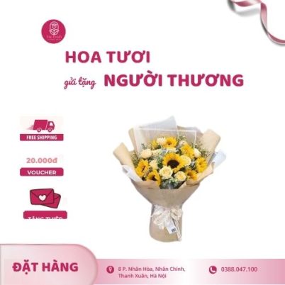 Bó hoa hướng dương tươi kết hợp hoa hồng trắng